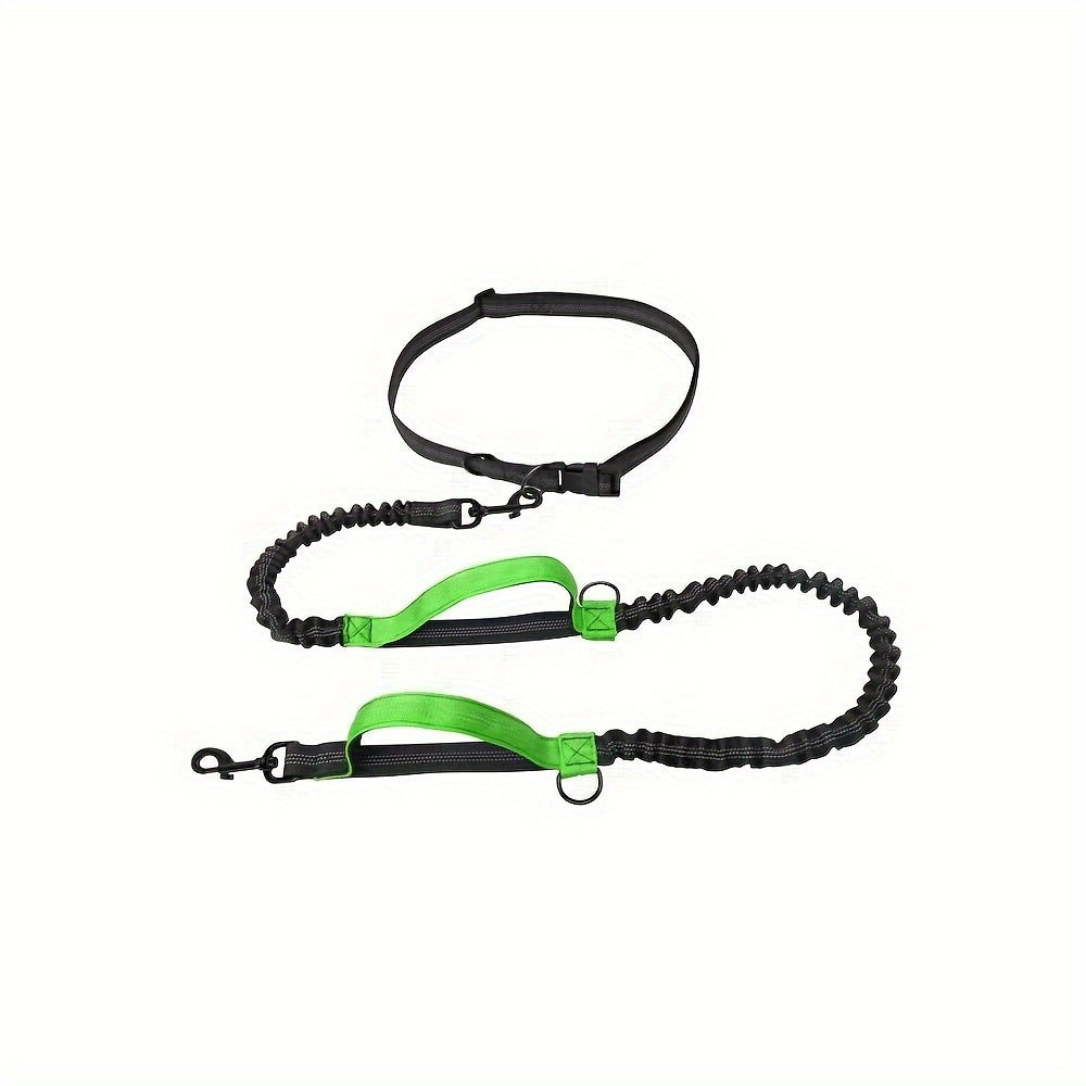 Hands-Free Dog Leash