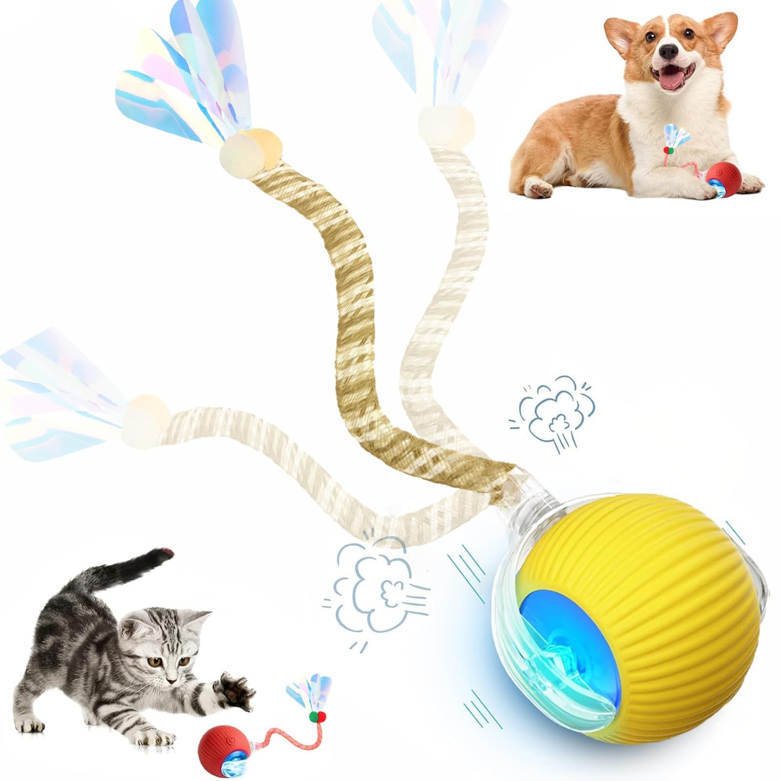Interactive Cat Toy