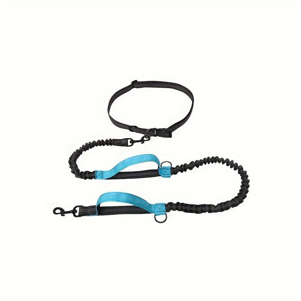 Hands-Free Dog Leash
