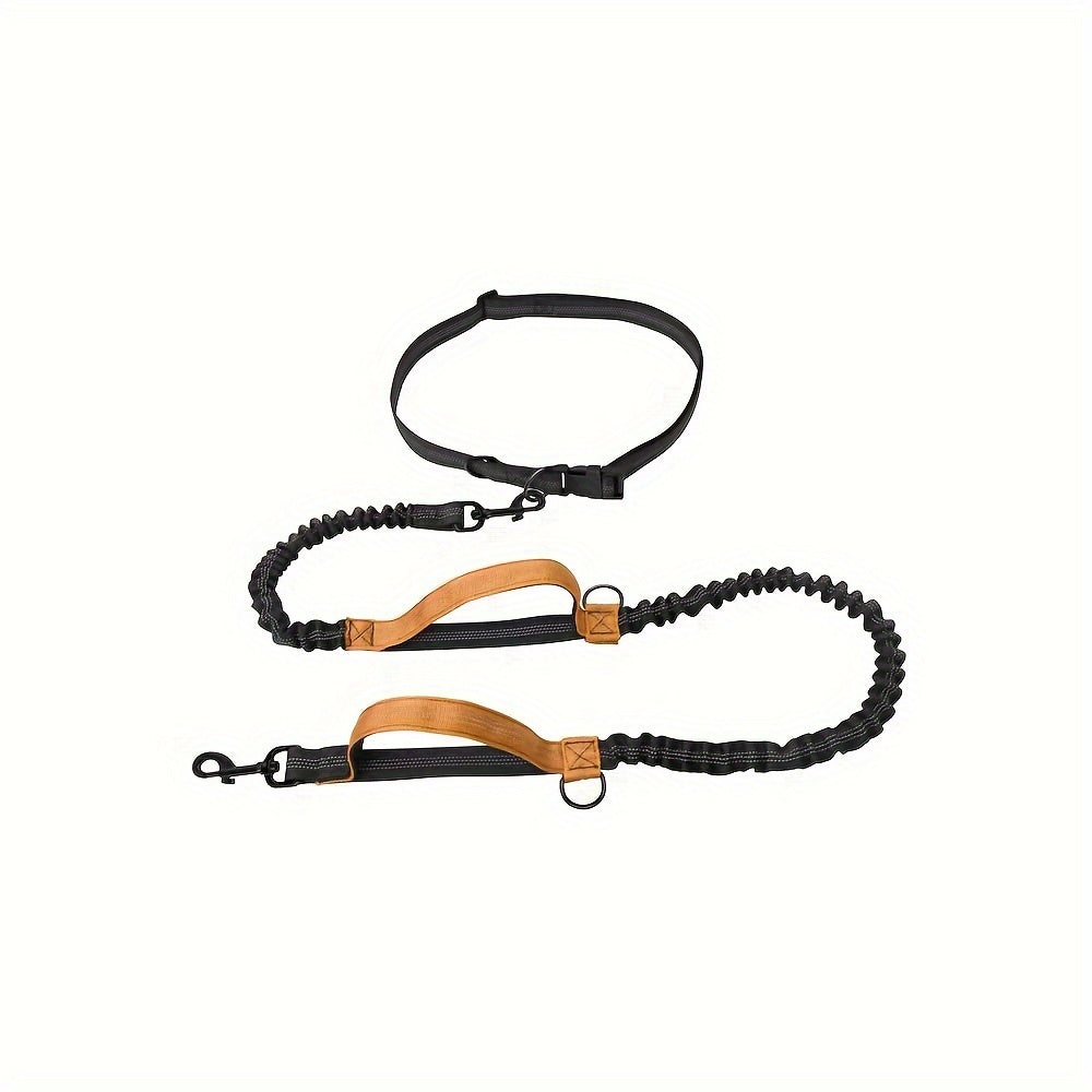 Hands-Free Dog Leash