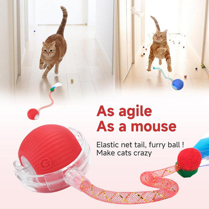 Interactive Cat Toy