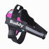 Personalized Dog Harness No Pull Reflective Vest