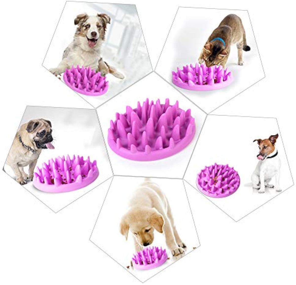 Cat Slow Feeder Bowl Anti-Choking Interactive Puzzle