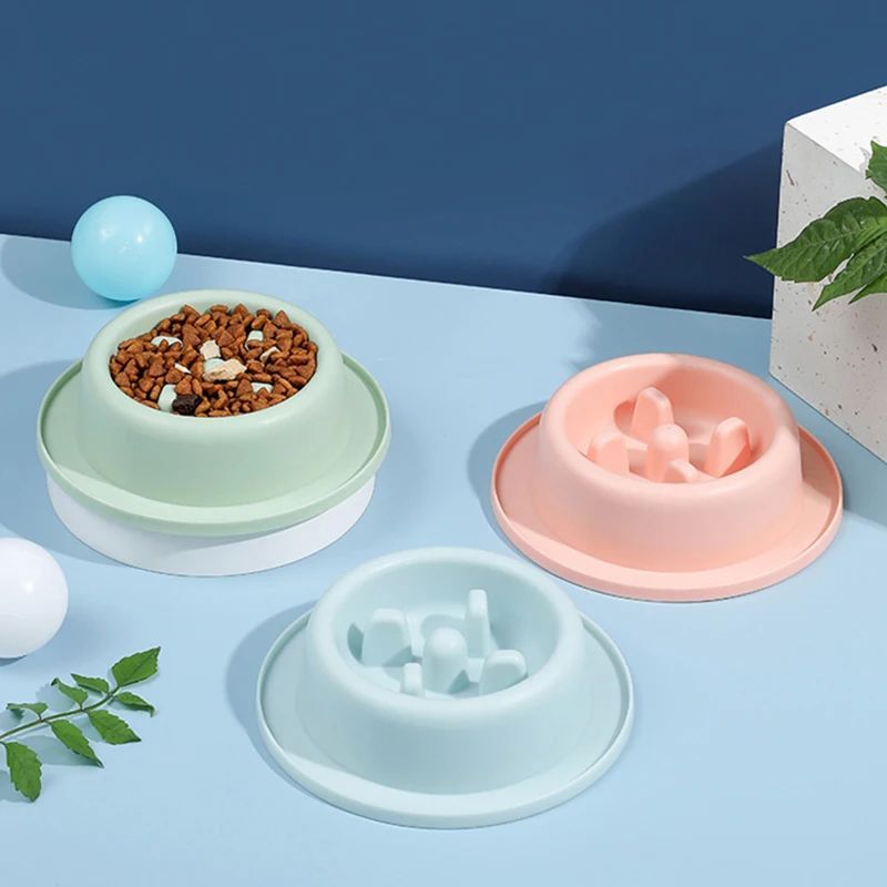 Pet Slow Eating Feeder Dog Bowl