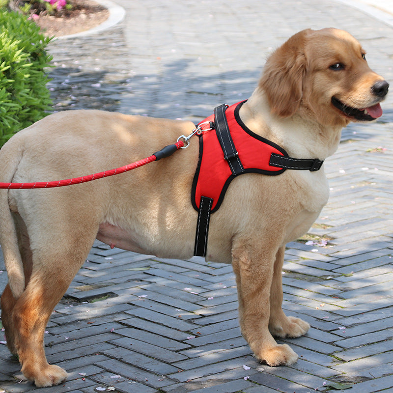 Fantastic Dog Leash made by long-lasting Nylon materials