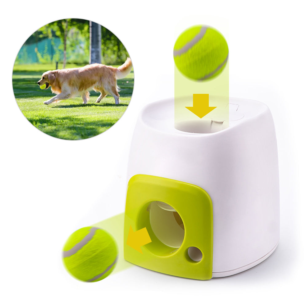Dog Food Reward Machine
