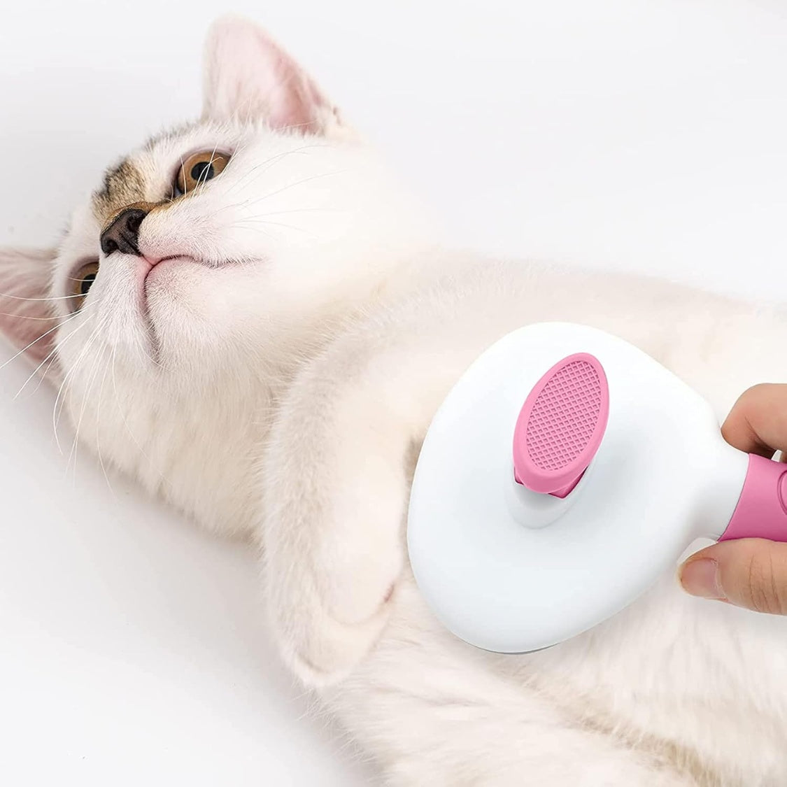 Cat Brush For Shedding