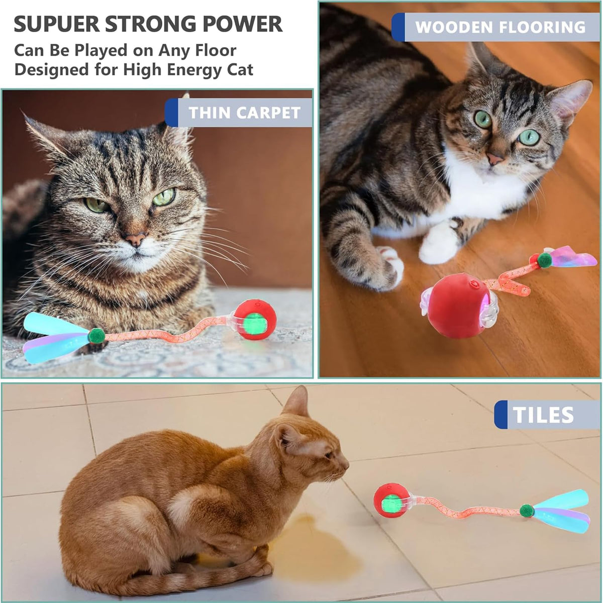 Interactive Cat Toy
