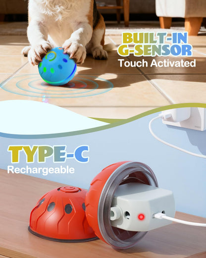 Interactive Dog Toys With Lights