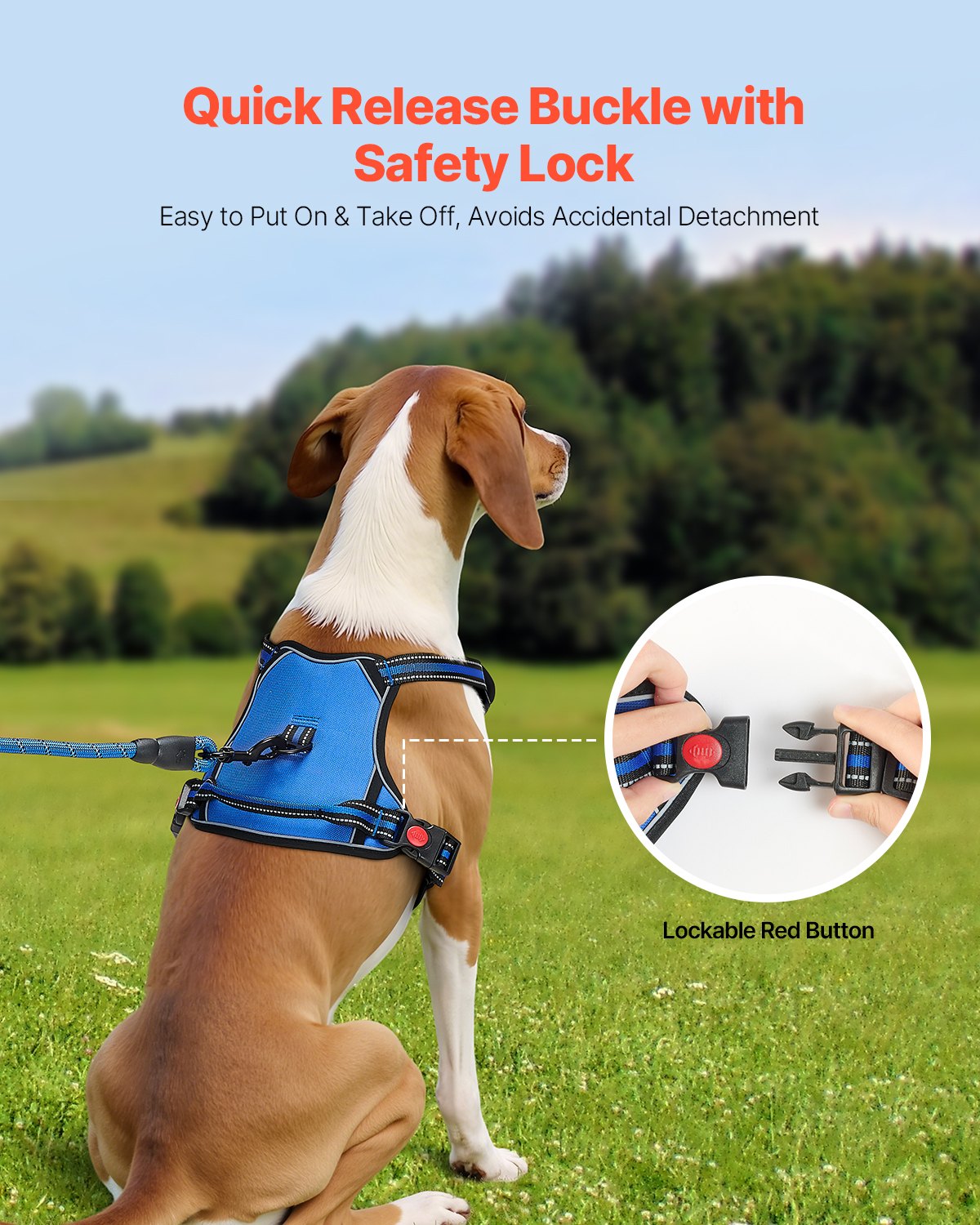 Dog Harness For Large Dogs