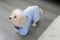 Fantastic Quick-drying Absorbent Towel for Dog bath