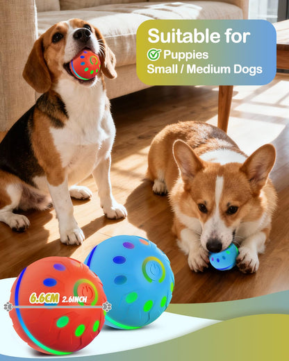 Interactive Dog Toys With Lights