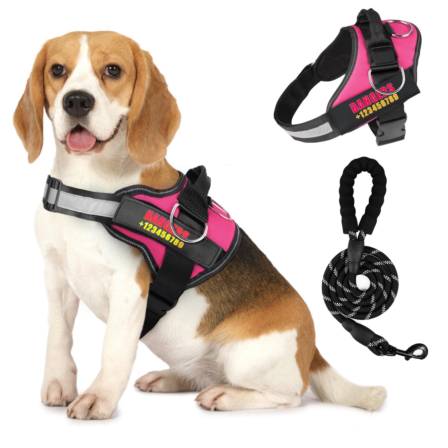 Personalized Dog Harness