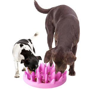 Cat Slow Feeder Bowl Anti-Choking Interactive Puzzle