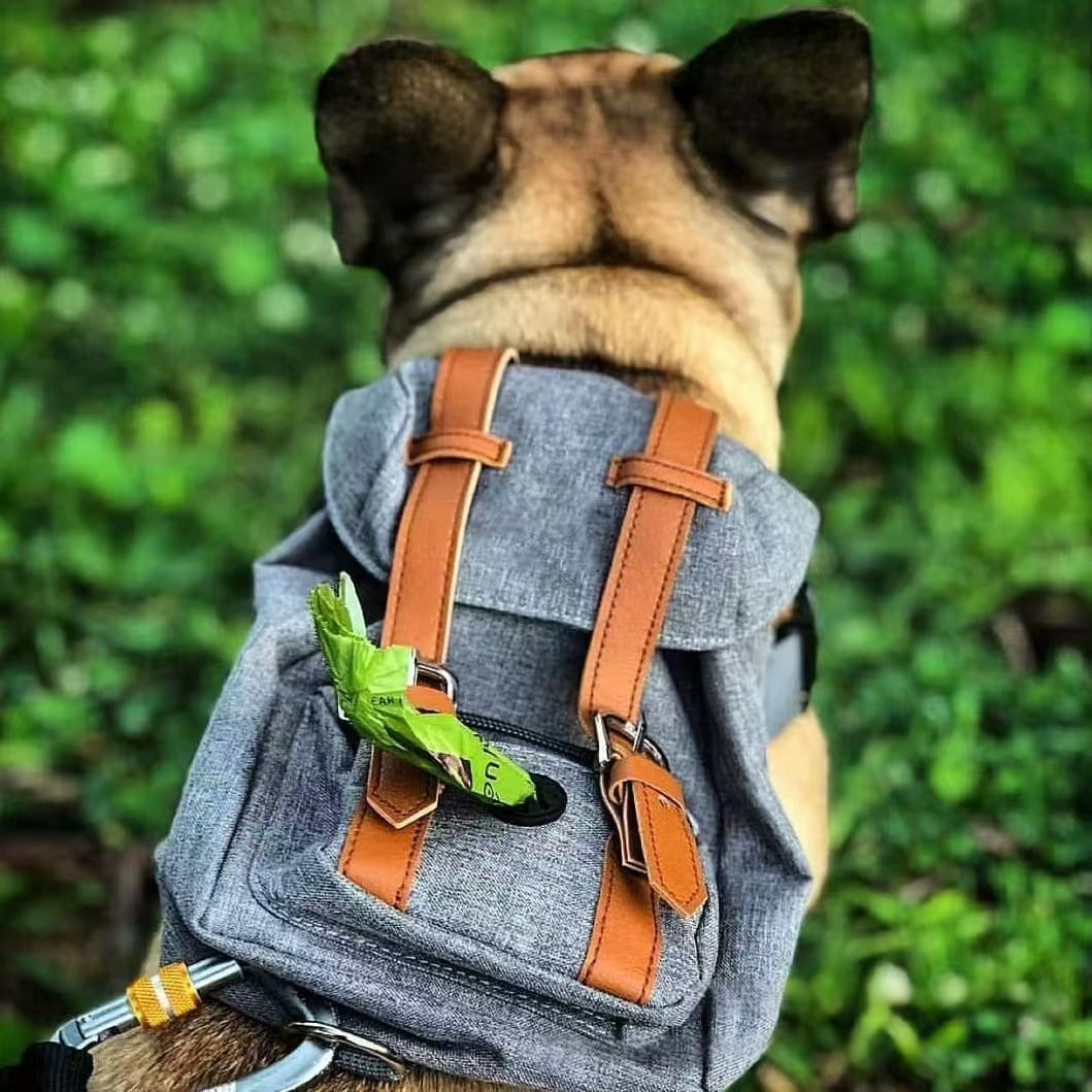 Retro Streetwear Dog Backpack Petite Pet Carrier StrRetro Streetwear Dog Backpack Petite Pet Carriereetwear Dog Backpack Petite Pet Carrier82c9533
