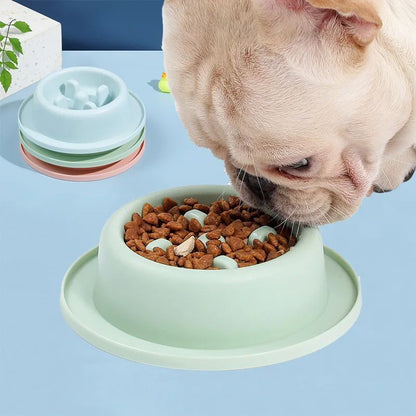 4a199166bcca2e4c9a36ffe42092de7fPet Slow Eating Feeder Dog Bowl