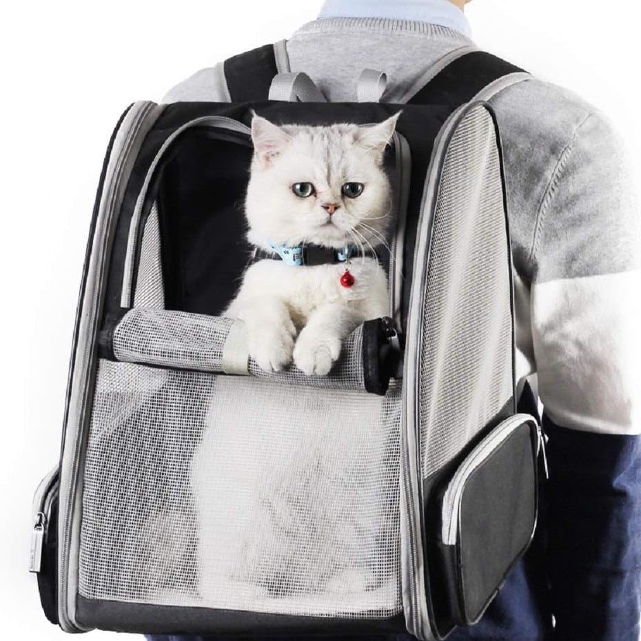 Innovative Traveler Bubble Backpack Pet Carriers For Cats And Dogs
