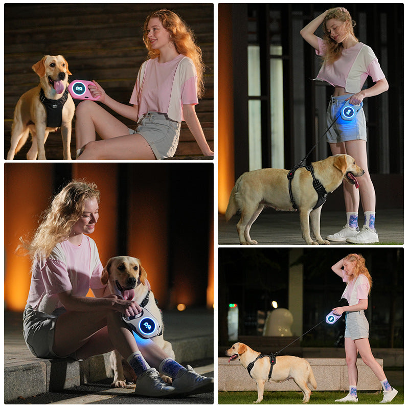 New LED Light Dog Leash Automatic Retractable Leash Outdoor Cool.