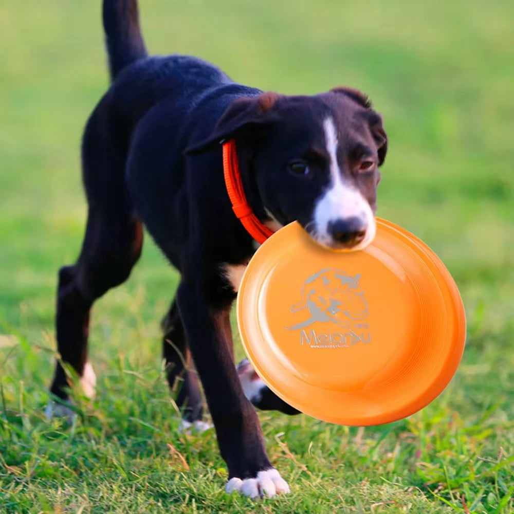 Fantastic Dog Training Disc Essenti for your Dog