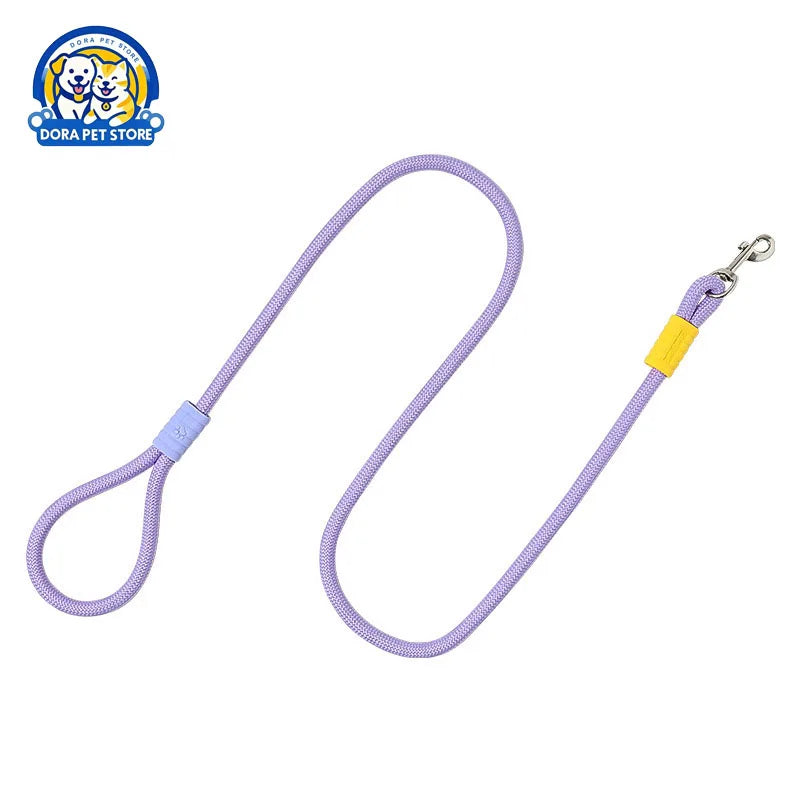 Amazing Outdoor Dog leash for you cute Dog