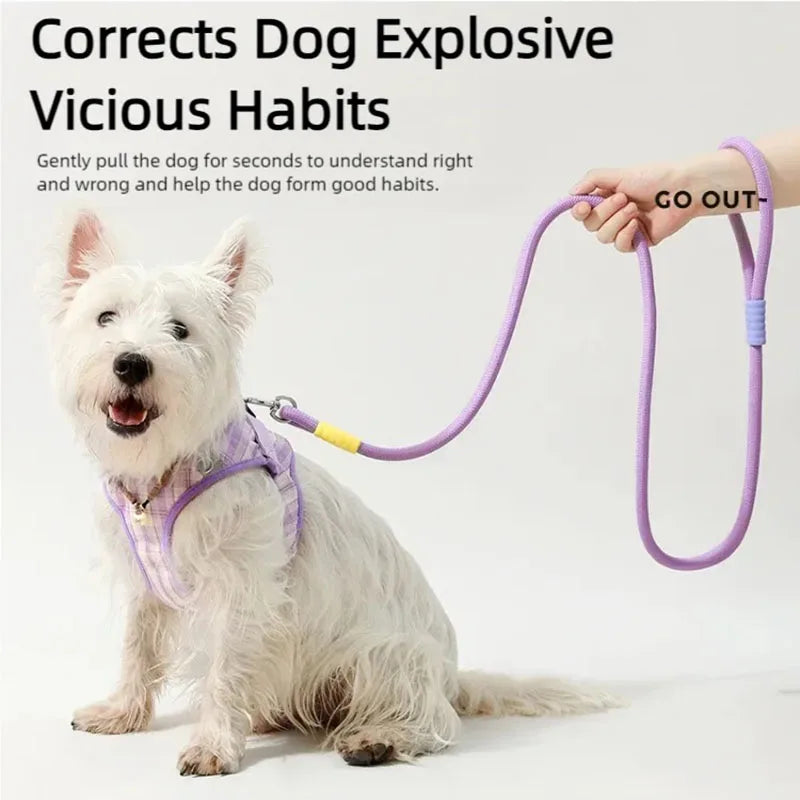 Amazing Outdoor Dog leash for you cute Dog