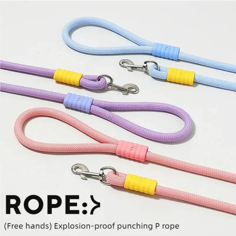 Amazing Outdoor Dog leash for you cute Dog