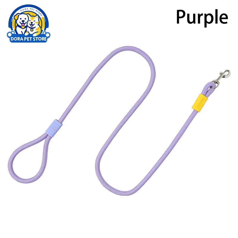 Amazing Outdoor Dog leash for you cute Dog