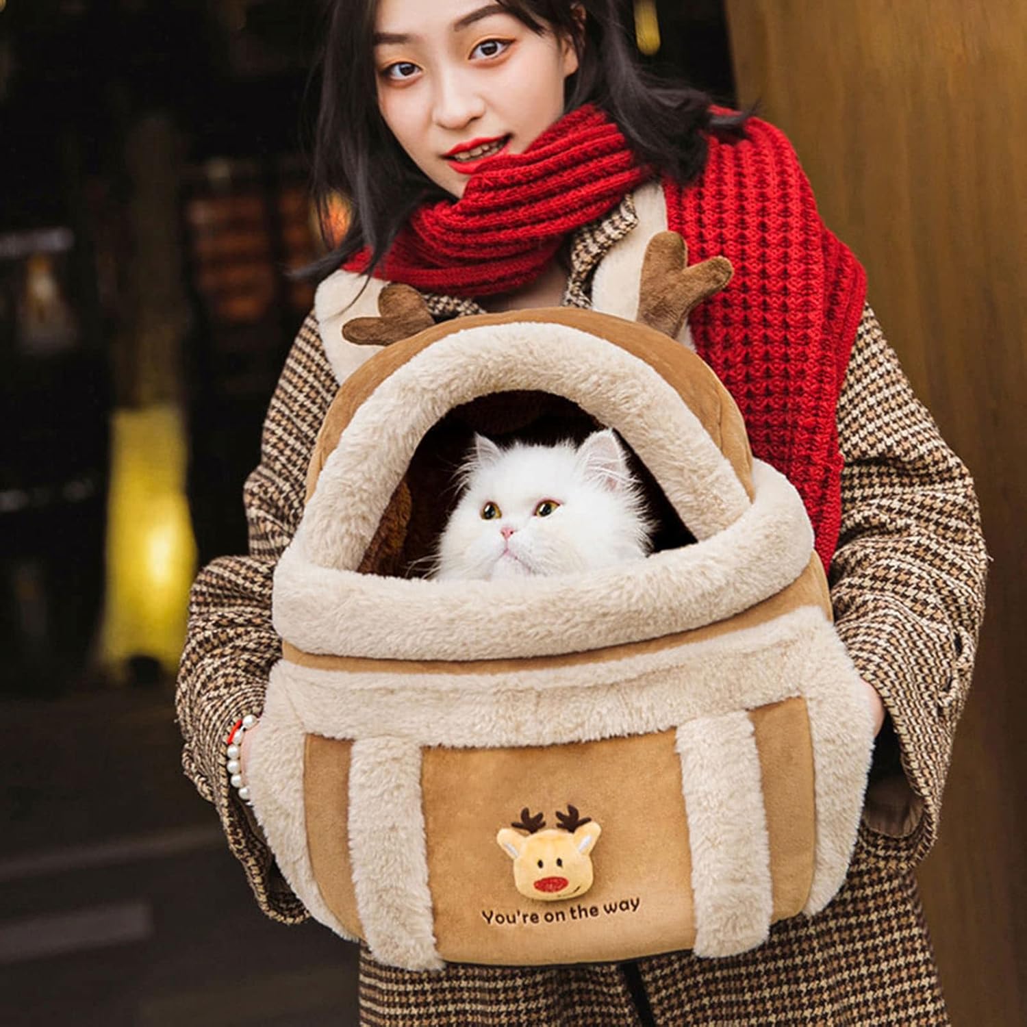 Carrier Bag Backpack Carrier for Dogs Winter Outdoor Travel