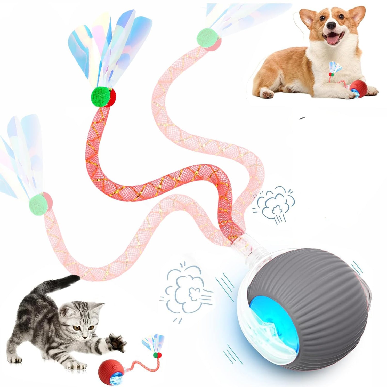 Interactive Cat Toy