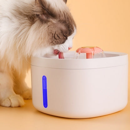 Filtered Charging Induction Smart Pet Water Fountain