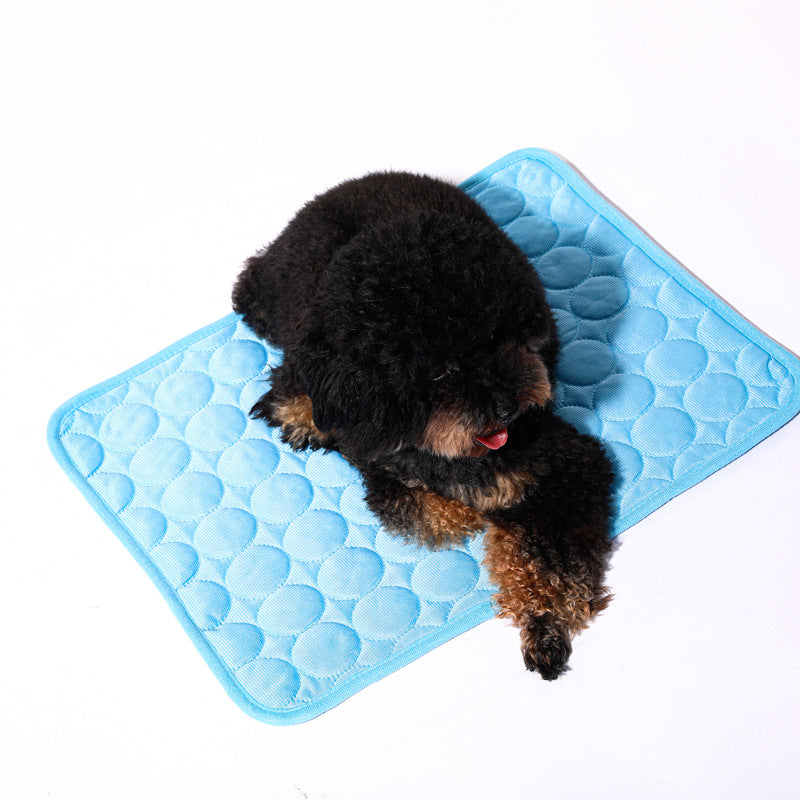 Dog cooling mat in blue with a poodle sitting on it, providing comfort for pets during warm weather.