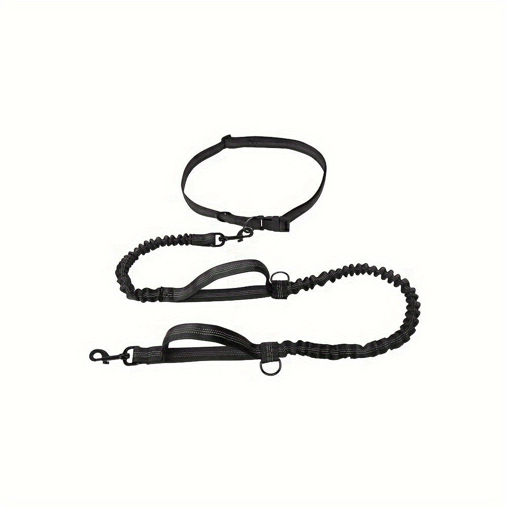 Hands-Free Dog Leash