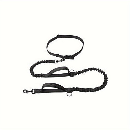 Hands-Free Dog Leash