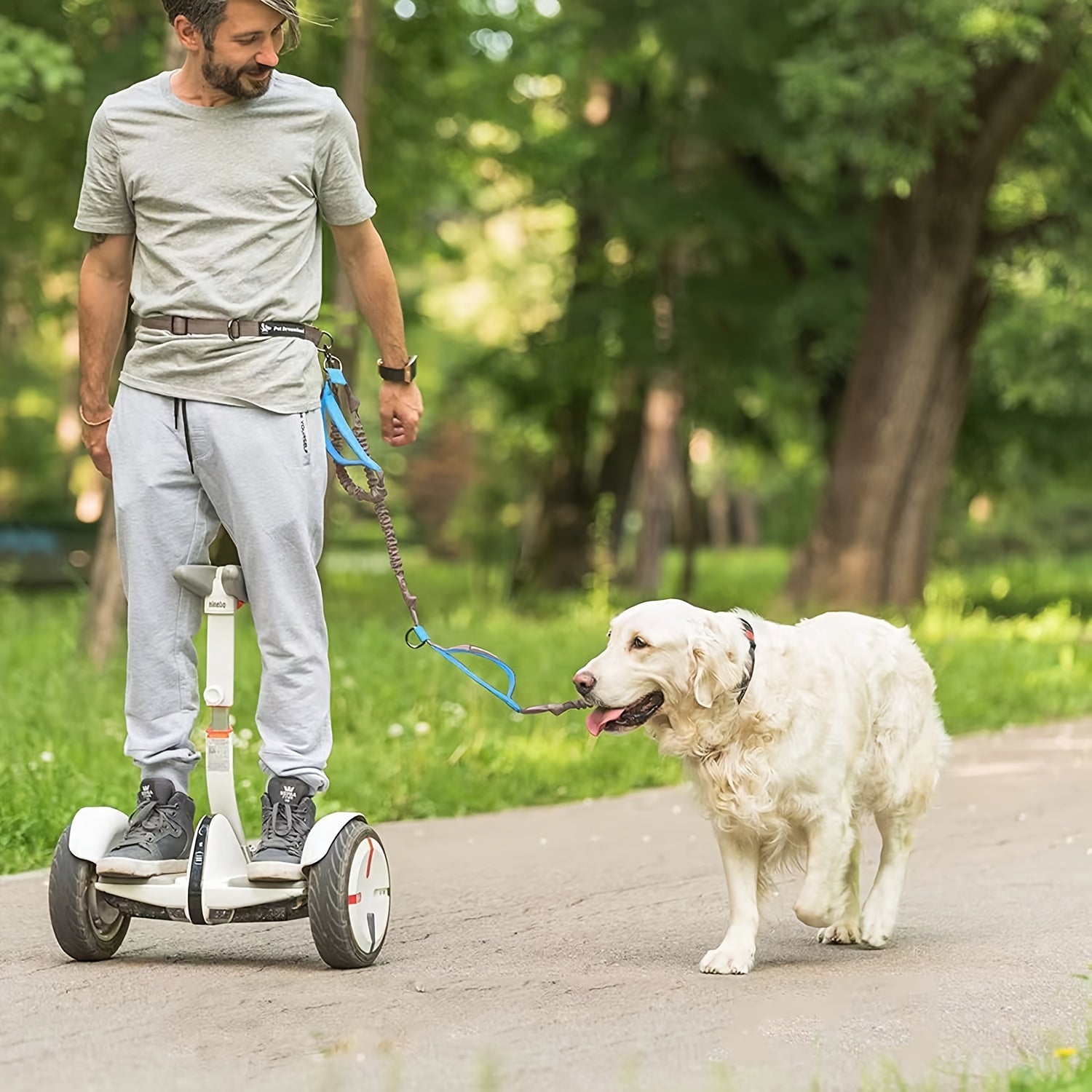 Hands-Free Dog Leash