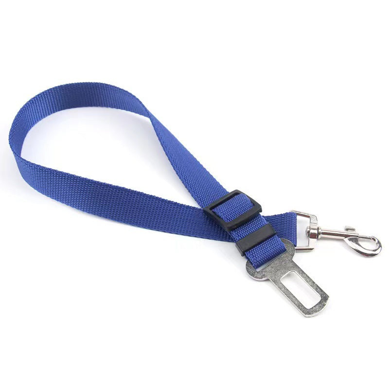 Brilliant Retractable Belt for Dog's safety in the Car.