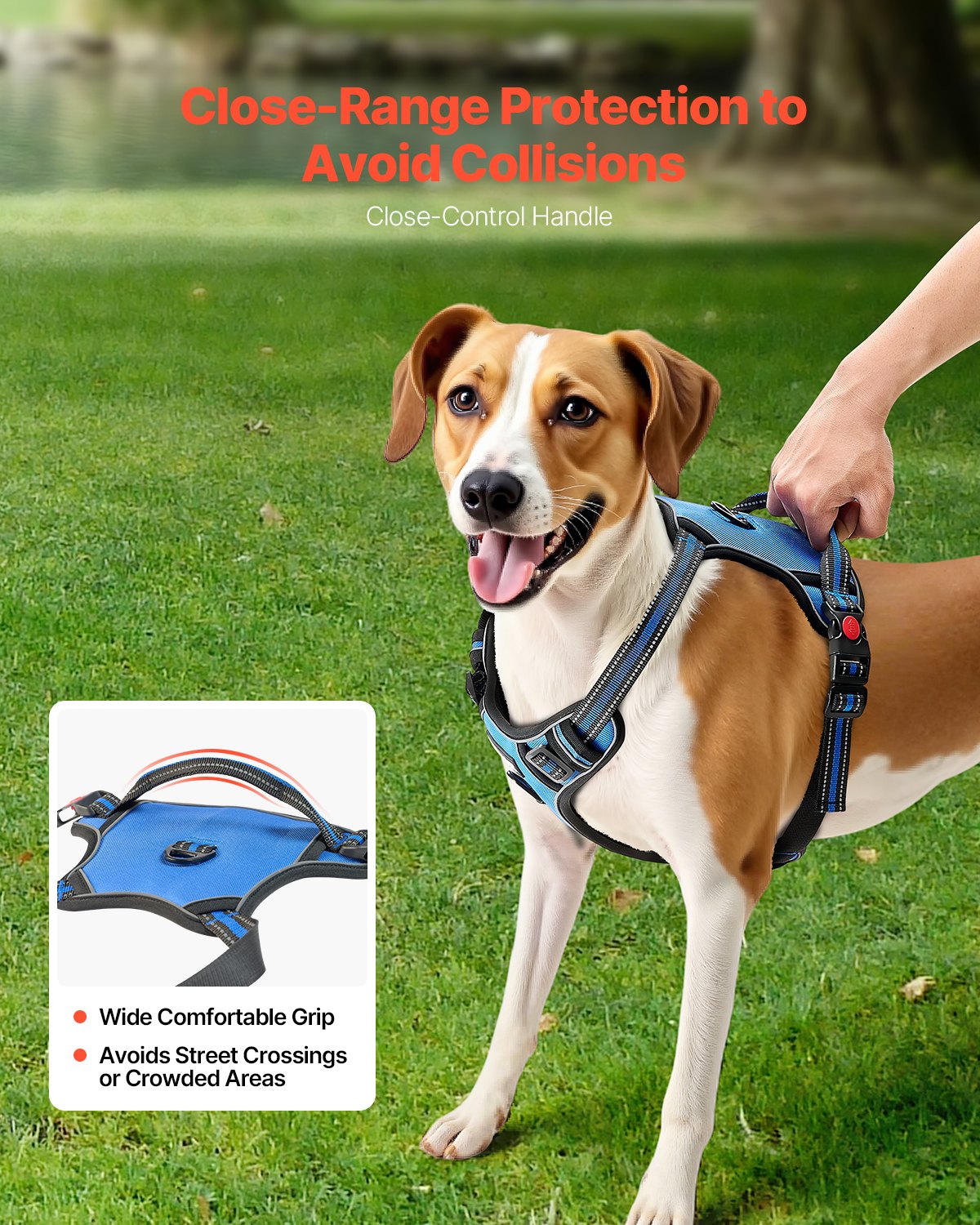 Dog Harness For Large Dogs