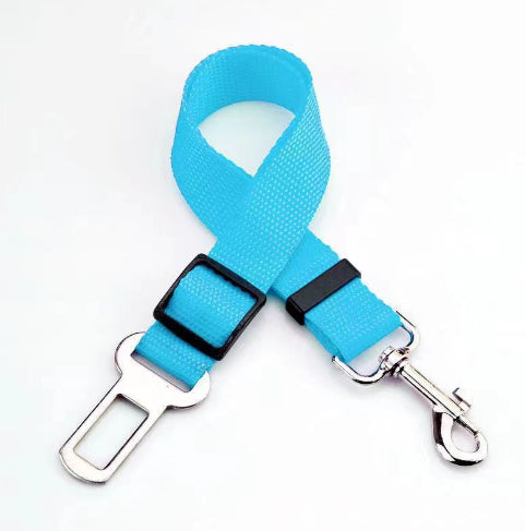Brilliant Retractable Belt for Dog's safety in the Car.