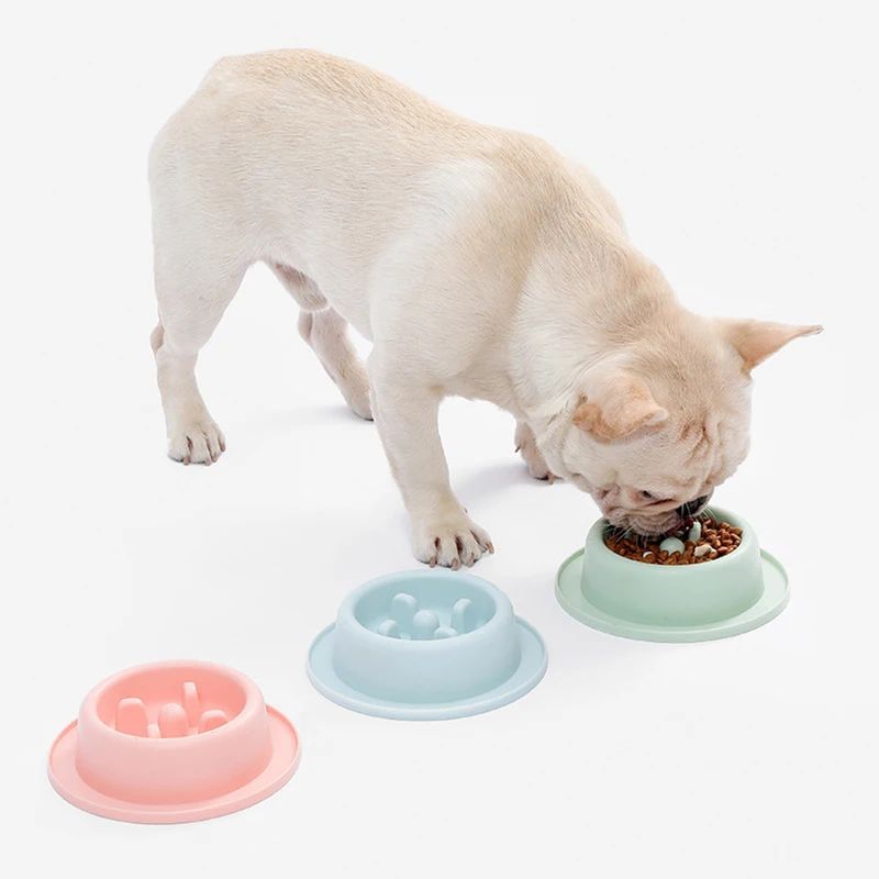 Pet Slow Eating Feeder Dog Bowl