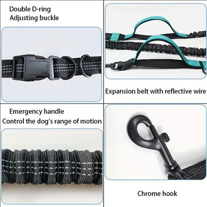 Hands-Free Dog Leash