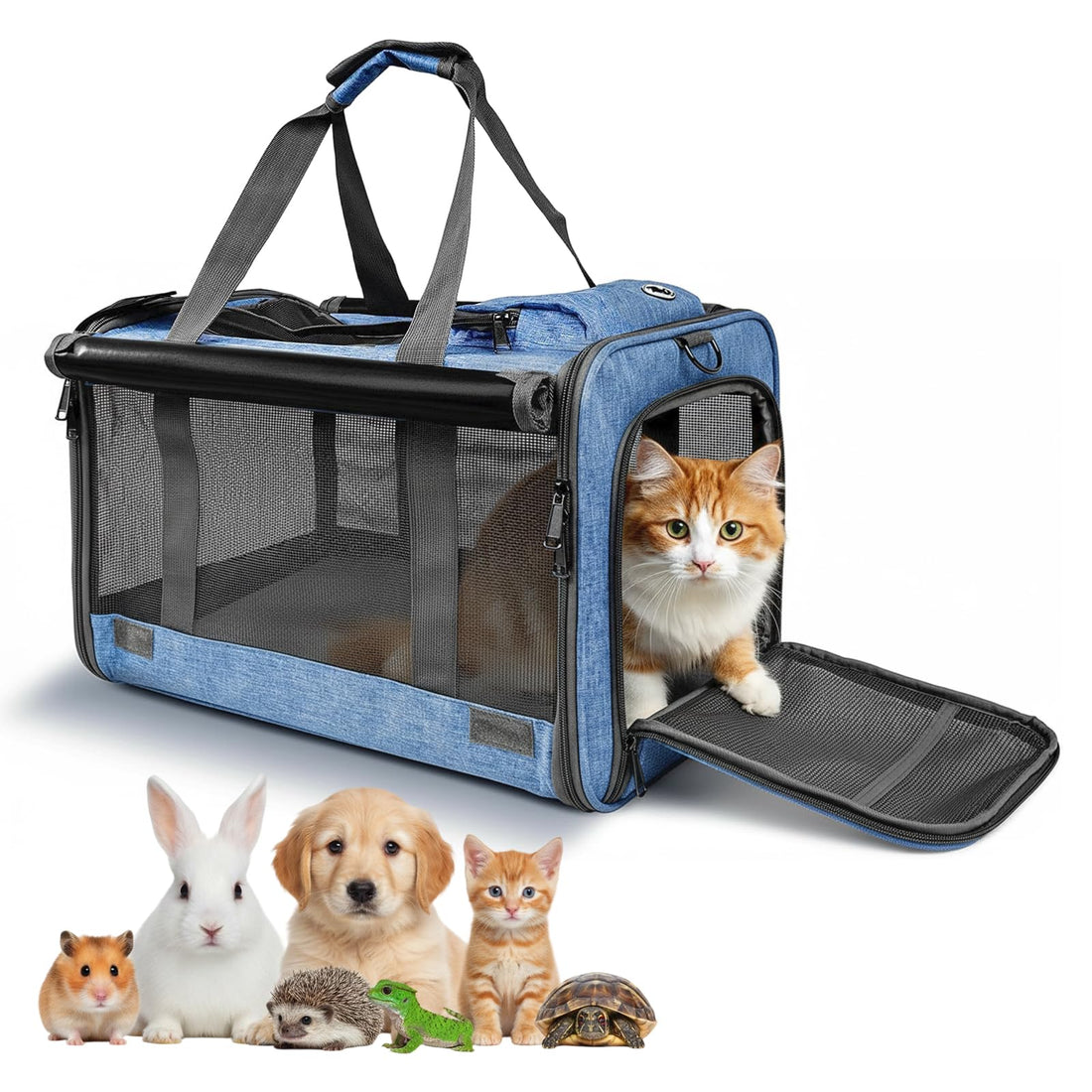 Pet Carrier for Large and Medium Cats Soft-Sided Travel Bag