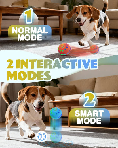 Interactive Dog Toys With Lights