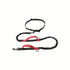 Hands-Free Dog Leash