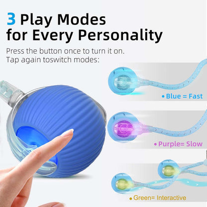 Interactive Cat Toy