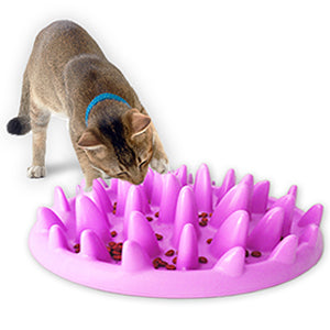 Cat Slow Feeder Bowl Anti-Choking Interactive Puzzle