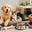 Best Pets Bargains logo